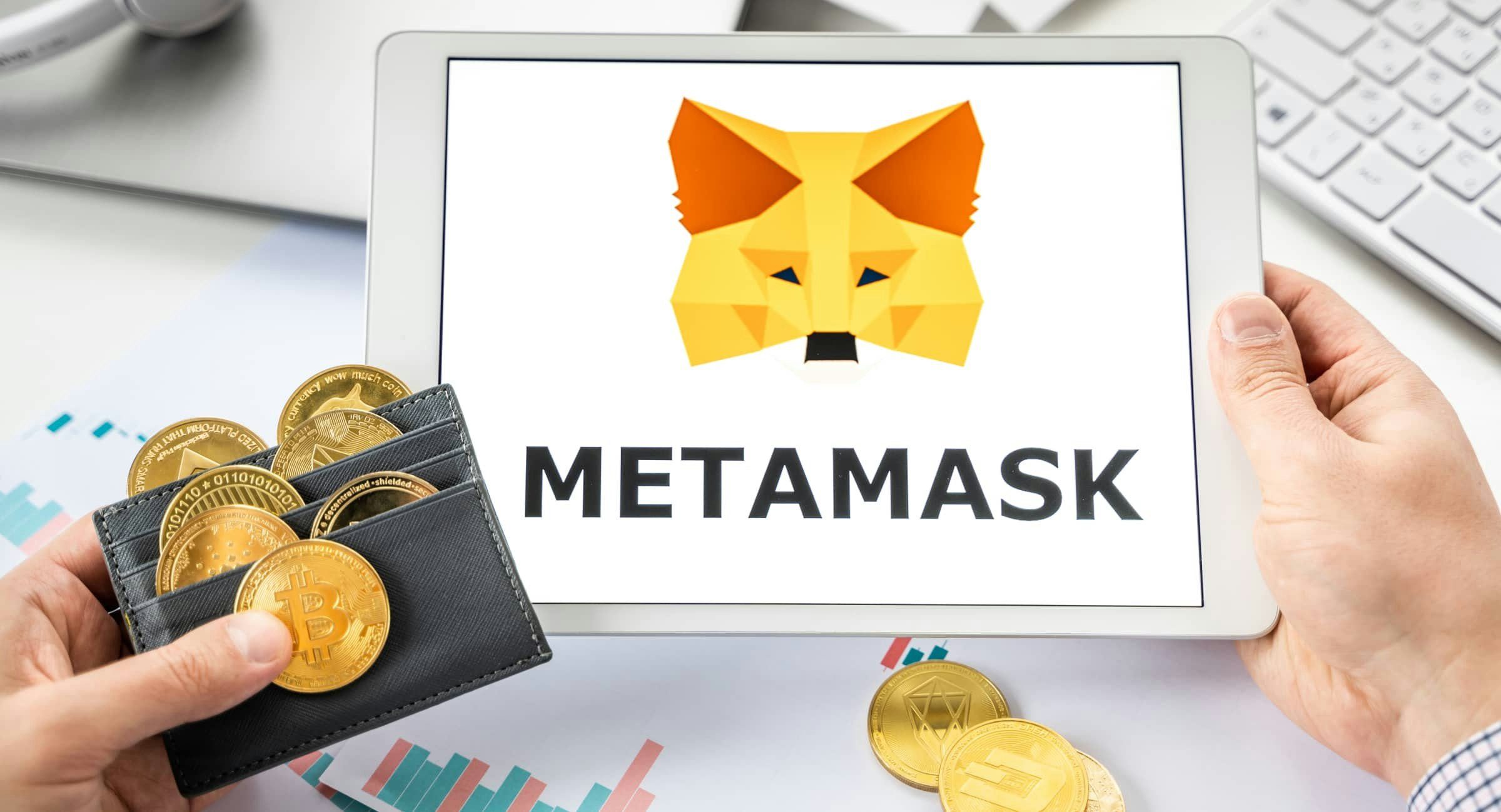 A carteira MetaMask apenas suporta Ethereum?